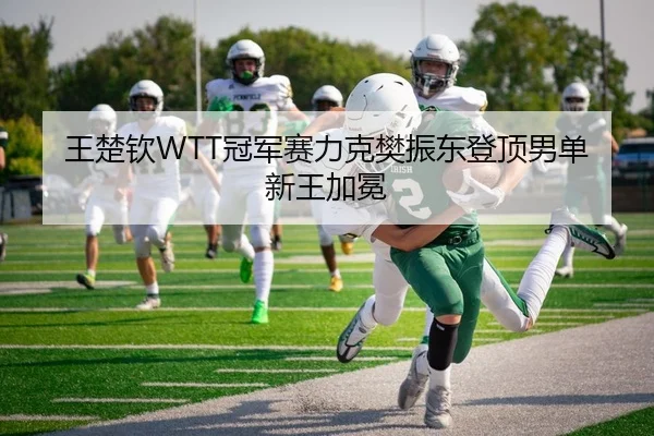 王楚钦WTT冠军赛力克樊振东登顶男单新王加冕